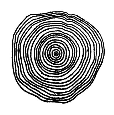 Tree Rings